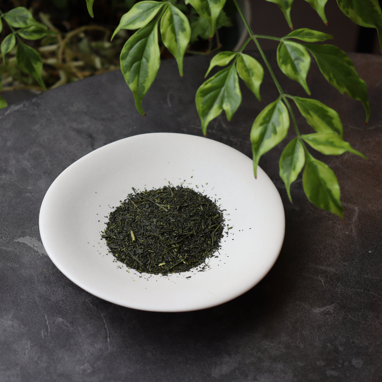 #0203.S5 土橋園茶 #10: 掛川シリーズ: 極上煎茶利休 煎茶利休