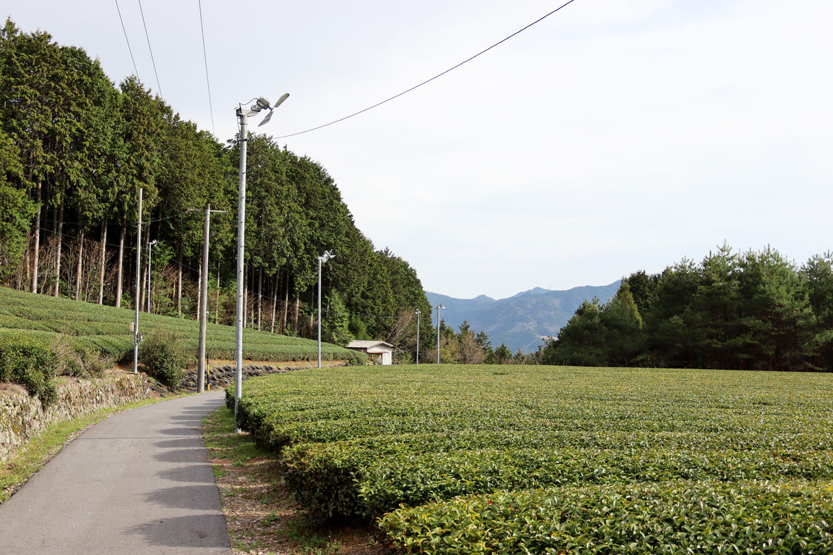 #1056.G1 Nitta Tea Farm: Premium Karigane
