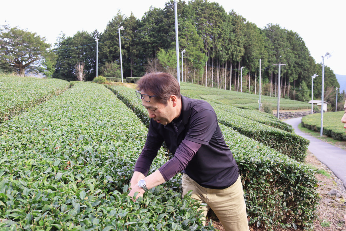 #1055.G1 Nitta Tea Farm: Imperial Sencha
