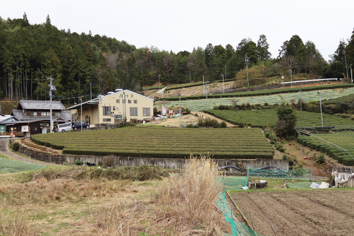 #1055.G1 Nitta Tea Farm: Imperial Sencha