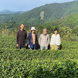 #0060.S5 NaturaliTea（ティーセブン）：有機紅茶グリーンミカン青みかん入り有機和紅茶テイーバッグ