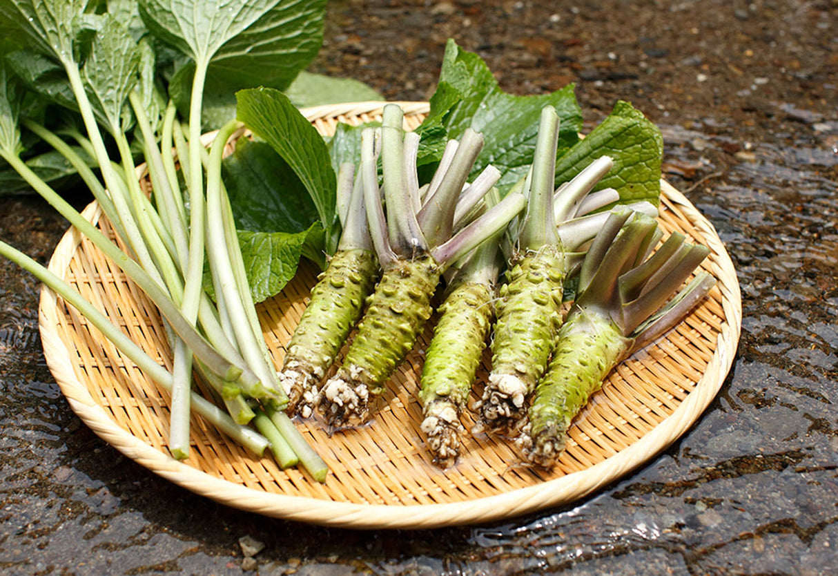 亀屋食品：産地直送わさび茶漬け