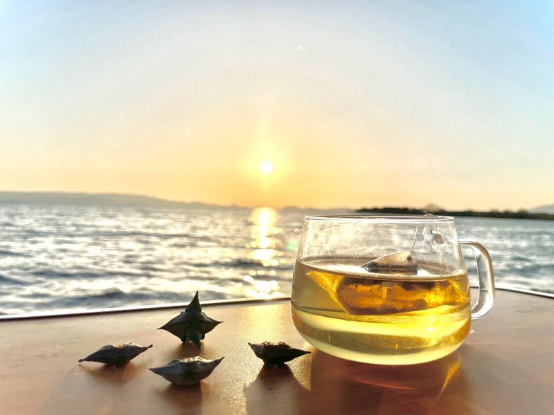 #1097 Inabishi: Hishicha Water Caltrop Herbal Tea