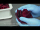 #0555.S4 Okuizumo Rose Garden: Rose Petal Herbal Tea (Sahime - Rose Princess Cultivar)