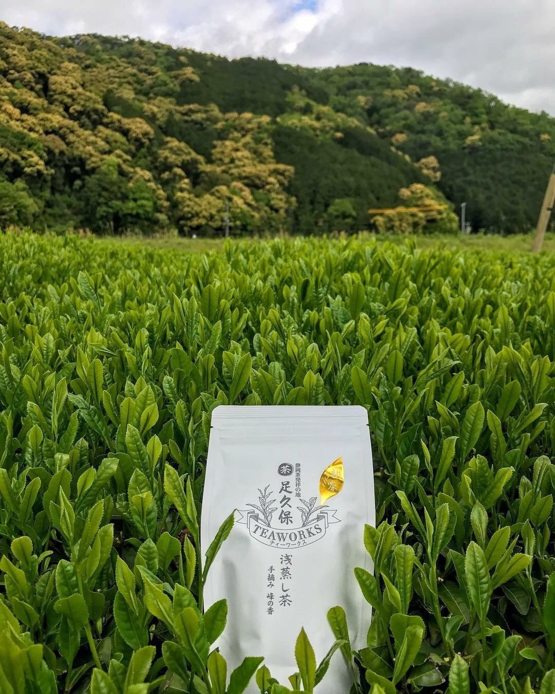 Ashikubo Teaworks: 2022 Handpicked Asamushi Sencha Mine no Kaori 足久保 浅蒸し茶 手摘み 峰の香 - tokinari.live