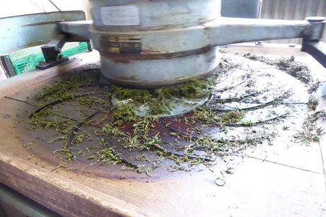 Ayumi Farms (Cyittorattu): Wakocha (Japanese black tea, 100g) - tokinari.live