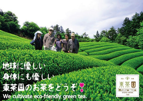 Azuma Tea Garden: Roasted Tencha Hojicha Powder - tokinari.live