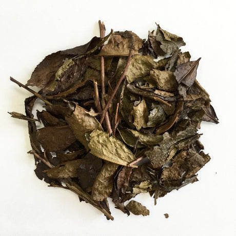 Chasandai Tea Factory: Shimane-Grown Roasted Bancha (Unrolled Hojicha) 100g - tokinari.live