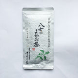Chiyonoen Tea Garden #08: 2022 Mountain-Grown Yame Sencha, Hachijyuhachiya 八十八夜 - tokinari.live