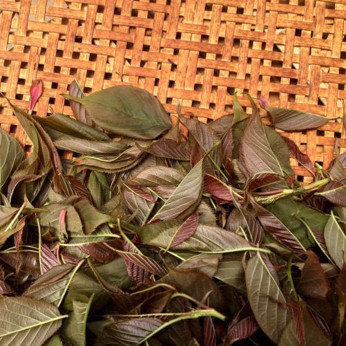 Chiyonoen Tea Garden: #27 Mountain-Grown Yame Sakura Leaf Black Tea 【矢部紅茶】春の香紅茶　桜のナチュラルフレーバー - tokinari.live