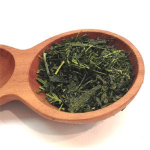 Dobashien Tea #05: Kakegawa Series: Shizuoka Sencha, Hatsuzumi 初摘 - tokinari.live