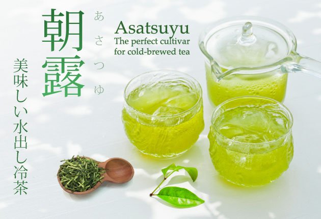 Dobashien Tea #08: Kakegawa Series: Single Cultivar Sencha, Asatsuyu 煎茶 朝露 - tokinari.live