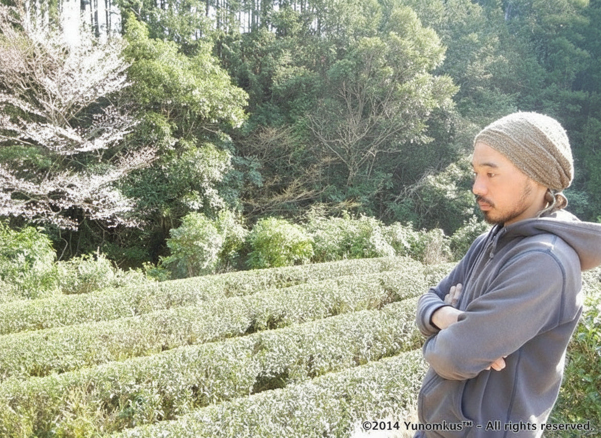 Dokodemosora #02: Naturally Grown Wakayama Superior Hojicha Roasted Green Tea - tokinari.live