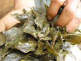 Goishicha from the Otoyo Town Goishicha Producer's Association 大豊町碁石茶協同組合 『本場の本物』碁石茶 - tokinari.live