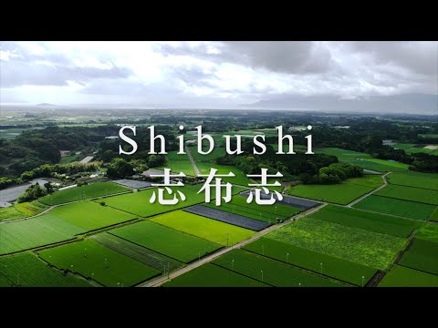 Wakoen Tea Farm: Kagoshima Tea Farm