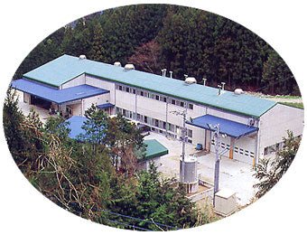 Ikegawa Tea Farm Coop: Spring First Flush Hojicha (Dark Roasted Sencha), Tosa Aburicha 池川一番茶[土佐炙茶] - tokinari.live