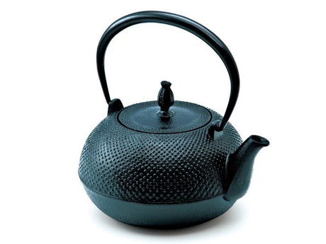 Ikenaga Ironworks: Nambu Cast Iron Tea Kettle Nozomi - Induction Heating (IH) Compatible - tokinari.live