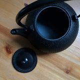 Ikenaga Ironworks: Nambu Cast Iron Tea Kettle Nozomi - Induction Heating (IH) Compatible - tokinari.live