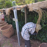 #0433.F2 Kuma Tea Garden: Tenkaichi 天下一 Yamecha Heritage Gyokuro Saemidori — 71st All Japan Tea Competition Grand Prize Winning Garden
