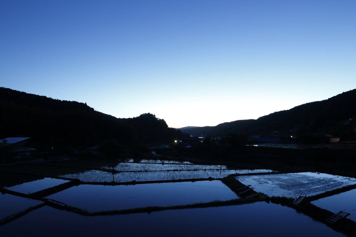 Kameya Foods: Farm Direct Wasabi Chazuke - Seasoning for Rice Tea Soup - tokinari.live