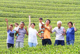 Kaneroku Matsumoto Tea Garden: 2022 Shincha - Limited Edition - Premium 特上新茶 - tokinari.live