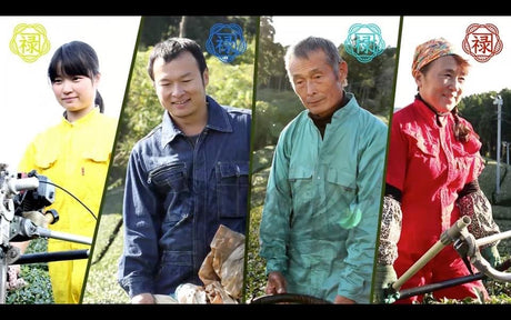 Kaneroku Matsumoto Tea Garden: Imperial Fukamushicha - tokinari.live