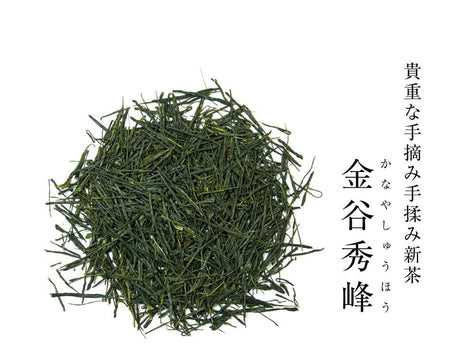 Kanes Tea: Kanaya Shuho 金谷秀峰, Limited Handrolled First Flush, April 2022 Asamushicha - tokinari.live
