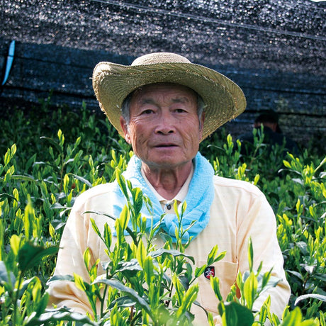 Kaneta Ota Tea Garden: Micro batch 2022 Sencha, Single Cultivar Saemidori - tokinari.live