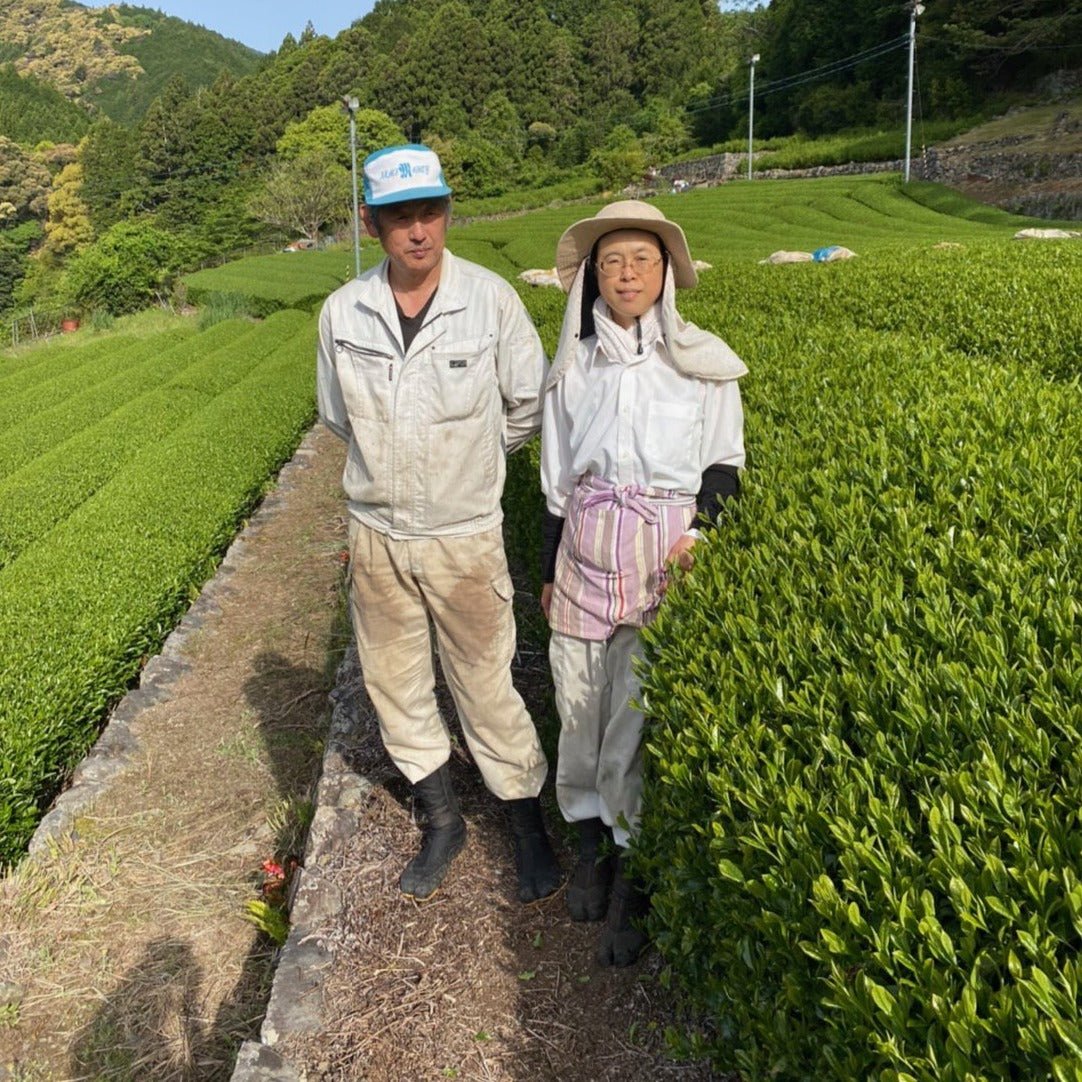 Kiyosawa Tea Gardens: Shizuoka Spring Asamushi Sencha by Farmer Sugiyama Yachiyo - tokinari.live