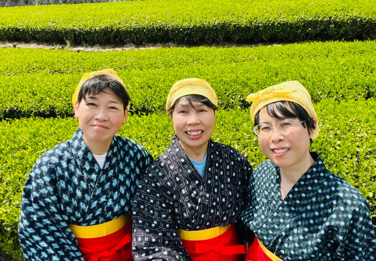 Kiyosawa Tea Gardens: Shizuoka Spring Asamushi Sencha by Farmer Sugiyama Yachiyo - tokinari.live
