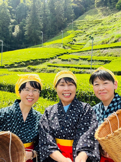 Kiyosawa Tea Gardens: Shizuoka Spring Asamushi Sencha by Konagai Chizuko - tokinari.live