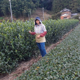 Kiyosawa Tea Gardens: Shizuoka Spring Kukihojicha Roasted Green Tea Leaf Stems by Farmer Kajiyama Yukako - tokinari.live