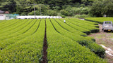 Kiyosawa Tea Gardens: Shizuoka Spring Kukihojicha Roasted Green Tea Leaf Stems by Farmer Kajiyama Yukako - tokinari.live