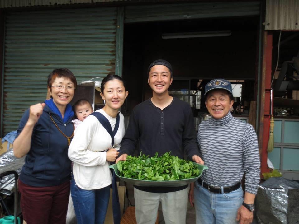 KU007 Tomizawa Tea Garden: Gyokuro Tamaryokucha from Mashiki, Kumamoto - "Green Tea.Lab" 玉露 - tokinari.live
