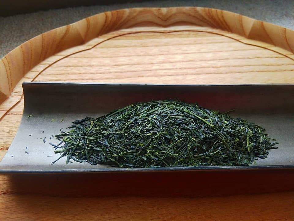 Kuma Tea Garden: 2022 Saemidori Imperial Mountain-Grown Yame Sencha 奥八女上陽茶さえみどり - tokinari.live