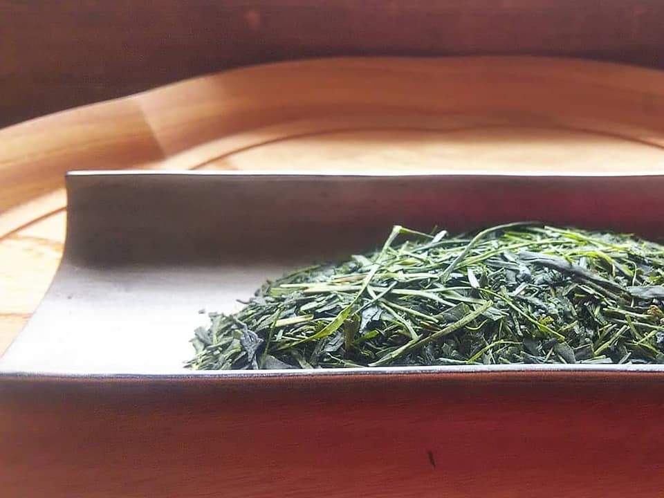 Kuma Tea Gardens: Mountain-Grown Yame Sencha, Single Cultivar Kirari 31 - tokinari.live