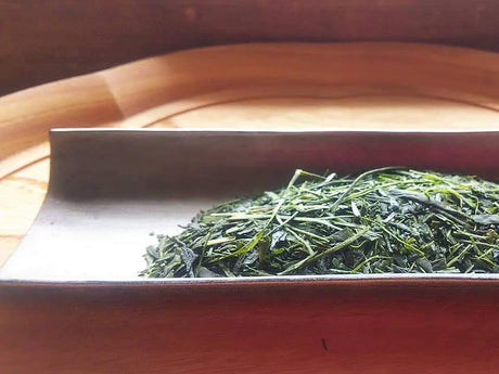 Kuma Tea Gardens: Mountain-Grown Yame Sencha, Single Cultivar Kirari 31 - tokinari.live