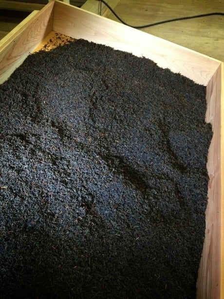 Kurihara Tea #14: Oku Yame Black Tea Kurenai Yametsuhime 奥八女紅茶 紅 ∙ 八女津媛 - tokinari.live