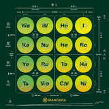 Mandara Green Tea Sampler Set by Kadode Ooigawa, Shizuoka - 4 steaming levels vs 4 green-roasting levels. (16 tea bags) - tokinari.live