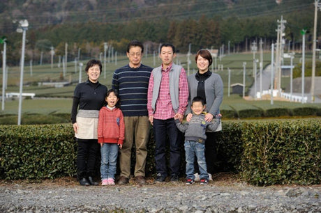 Marushige Shimizu Tea Farm: 2022 Kabusecha Shaded Green Tea, Tobikkiri とびっきりかぶせ - tokinari.live