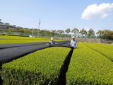 Marushige Shimizu Tea Farm: Kabusecha Shaded Green Tea, Tsuyuhikari つゆひかり - tokinari.live