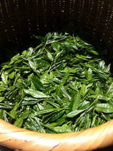 Mitocha NR005: Aged, Sun-dried Kamairicha Bancha 天日干し釜炒りばん茶 - tokinari.live