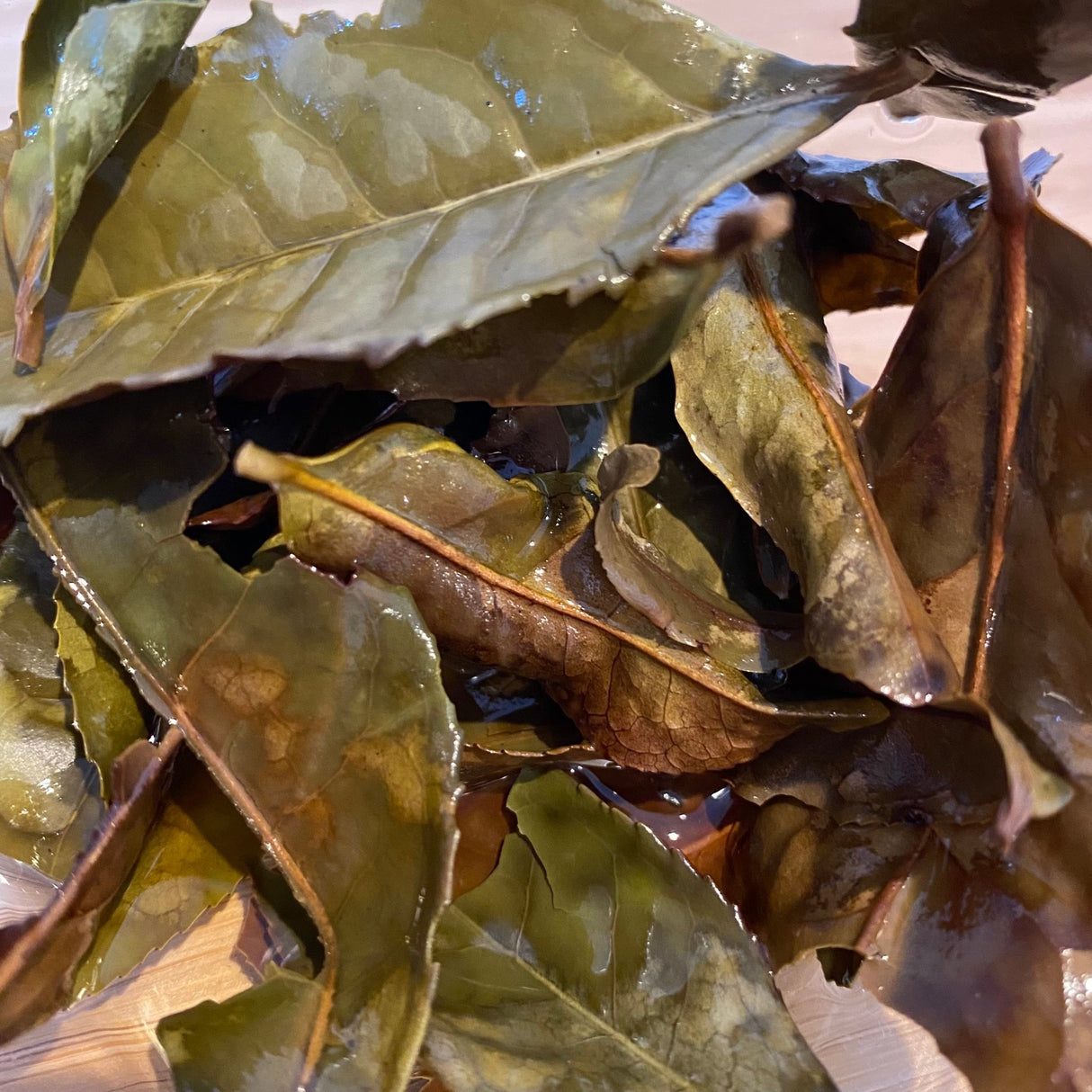 Mitocha NR006: Makibi Kancha Firewood Winter Green Tea (Aged) 薪火寒茶 - tokinari.live