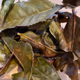 Mitocha NR006: Makibi Kancha Firewood Winter Green Tea (Aged) 薪火寒茶 - tokinari.live