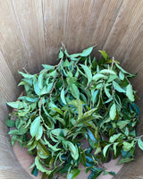 Mitocha NR006: Makibi Kancha Firewood Winter Green Tea (Aged) 薪火寒茶 - tokinari.live