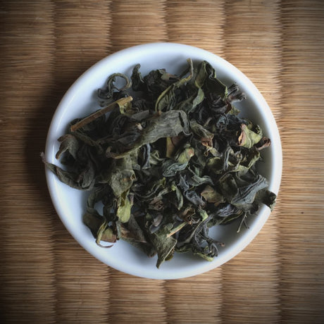 Miyazaki Sabou MY15: Oolong Tea - Saemidori Single Cultivar - tokinari.live
