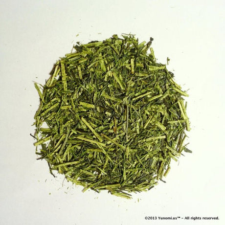 Morita Tea Garden #04: 2022 Sayama Karigane (Premium Stem Tea) 雁が音 - tokinari.live