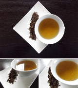 Morita Tea Garden #05: "Kyoka" Hojicha Roasted Green Tea from Sayama 京香 - tokinari.live