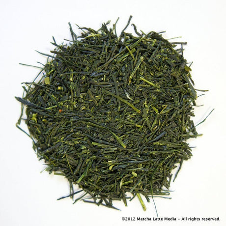Morita Tea Garden Premium Sayama Sencha, Suiren 睡蓮 - tokinari.live