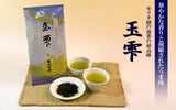 Morita Tea Shop: 2022 Tama Shizuku, Premium Sencha (100g) - tokinari.live
